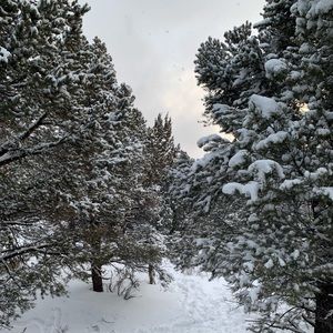 Meet your Posher, Ann